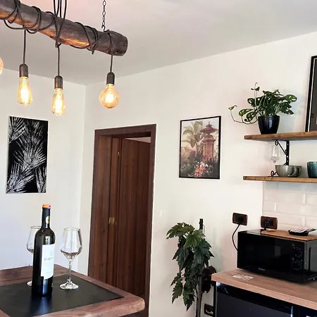 Tirana Apartment 公寓 地拉那